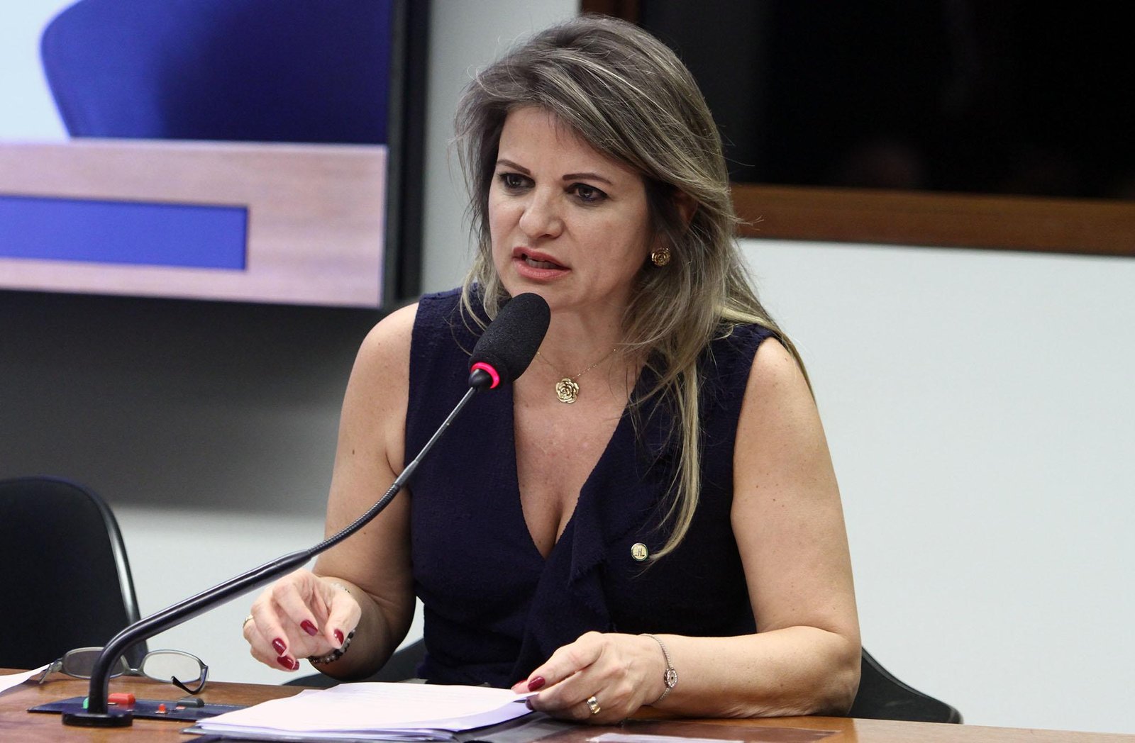 Aprovado Parecer De Fl Via Morais Que Torna Gr Tis Procura O Para