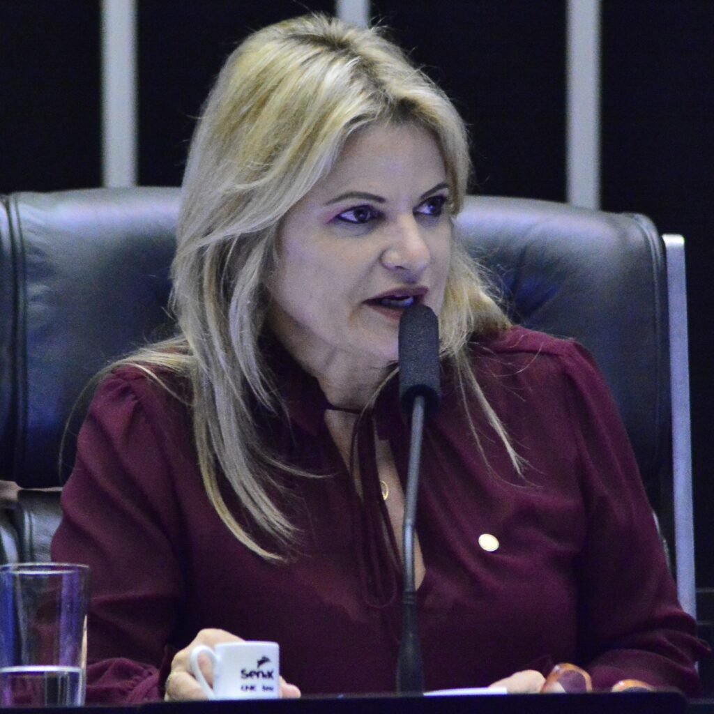 Deputada Flávia Morais (PDT-GO)